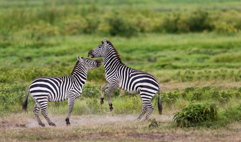 phieu lieu den mien dat malawi hoang da wanderlusttips 1.2