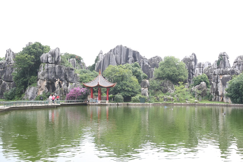 rung da thach lam wanderlusttips2