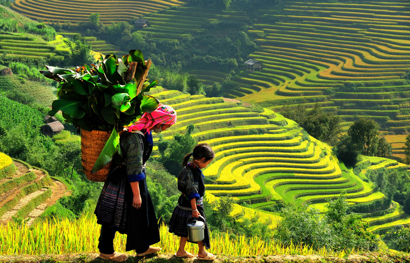 Sapa, điểm du lịch chưa bao giờ hết hot dịp lễ 30/4 5 sa pa diem den khong bao gio het hot trong dip le 30 4 wanderlusttips 1