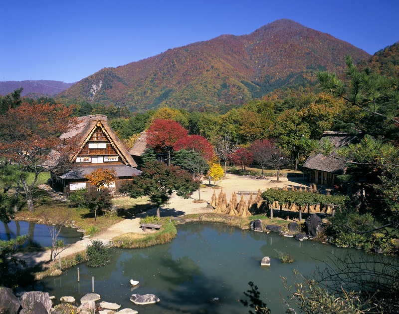 Trải nghiệm khác biệt tại Gifu, Nhật Bản 5 trai nghiem khac biet gifu wanderlusttips