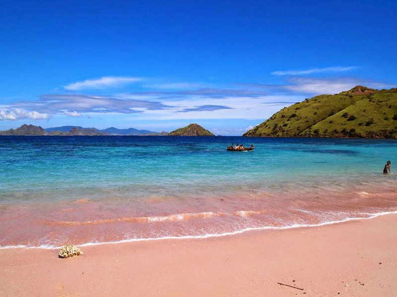 Kỳ thú bãi biển hồng trên đảo Komodo, Indonesia 5 wanderlusttips bai bien hong indonesia 10