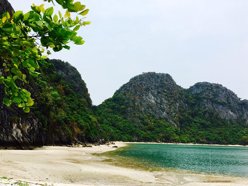 Chuyến phưu lưu đáng nhớ tới hoang đảo Mắt Rồng 5 wanderlusttips chuyen phuu luu dao mat rong