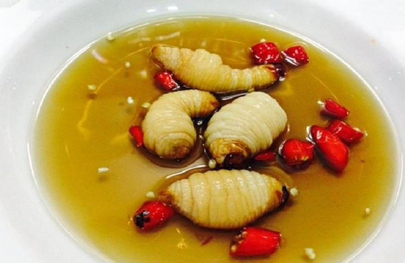wanderlusttips hanh trinh am thuc 13 tinh mien tay 7