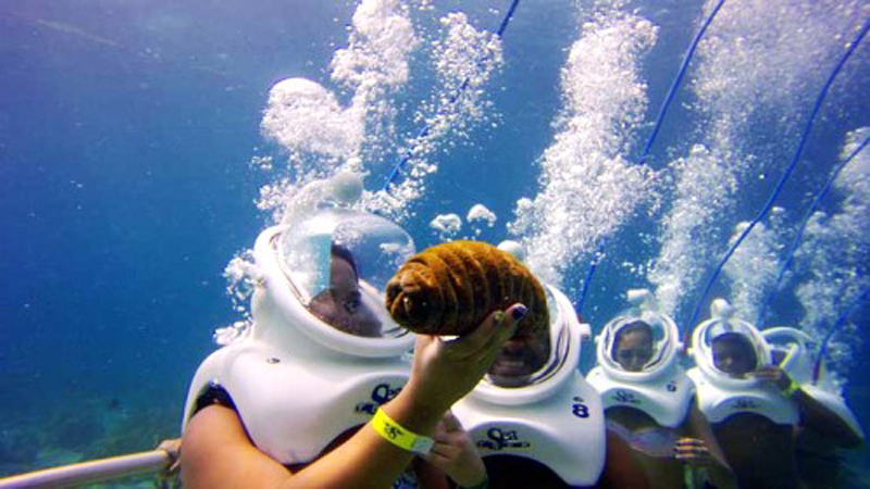 Mở tour đi bộ dưới đáy biển tại Cù Lao Chàm