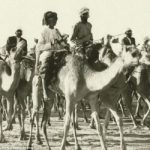 Wanderlust Tips kham pha lang chai nho dubai cach day hon nua the ky 1