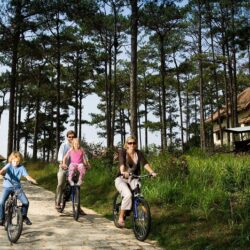 wanderlust tips tron goi nghi duong ana mandara dalat