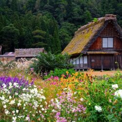 Wanderlust Tips kham pha ve dep doc dao cua ngoi lang co Shirakawa 4