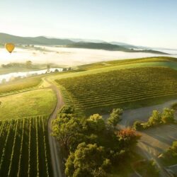 wanderlust tips Yarra Valley 2