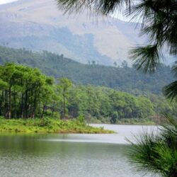 wanderlust tips kham pha da lat thu nho quang ninh 1