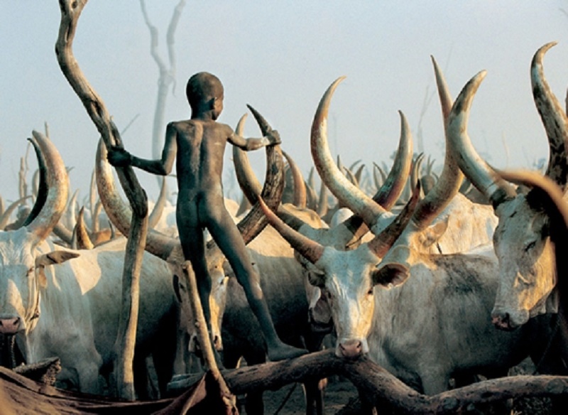 Dinka - Bộ lạc khỏa thân ở Sudan 5 Wanderlust Tips co mot bo lac khoa than o Sudan 1 1