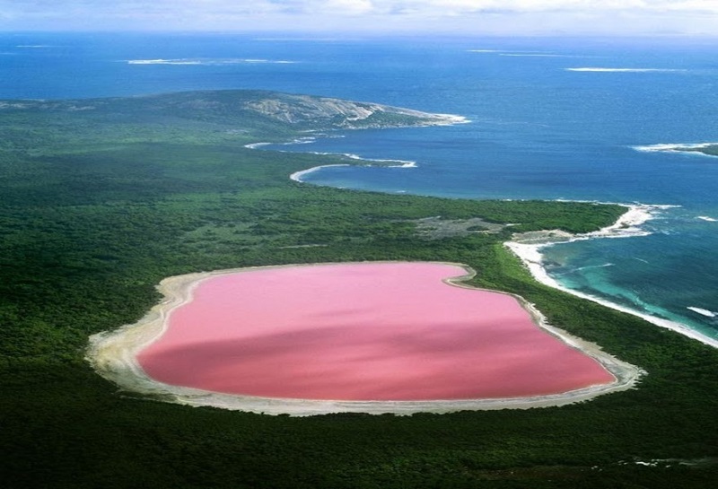 Kì bí hồ muối màu hồng ở Australia 5 Wanderlust Tips ki bi ho muoi mau hong o Austrailia 2