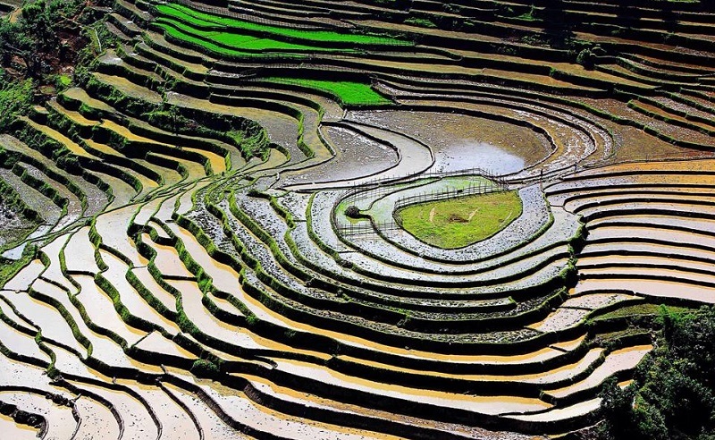 Wanderlust Tips kinh nghiem du lich mu cang chai mua nuoc do 1