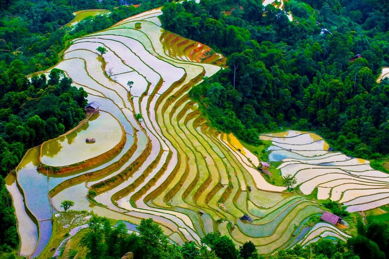 Nên đi Mù Cang Chải khi nào? 5 Wanderlust Tips nen di mu cang chai khi nao 3