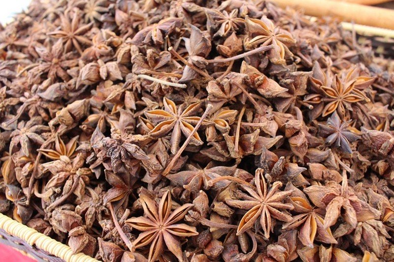 wanderlust tips an tuong le hoi hoa hoi lang son 4