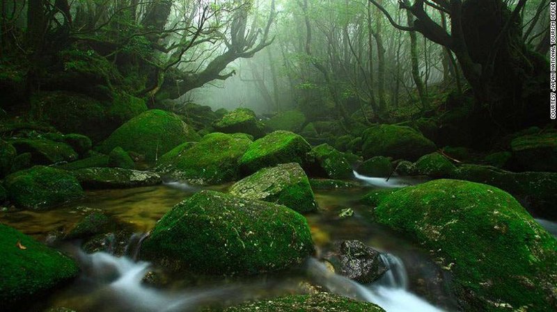 wanderlust tips da lat lot top diem den tuyet voi nhung chua noi tieng o chau a 2