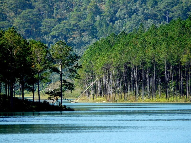 wanderlust tips 9 ly do yeu da lat 2