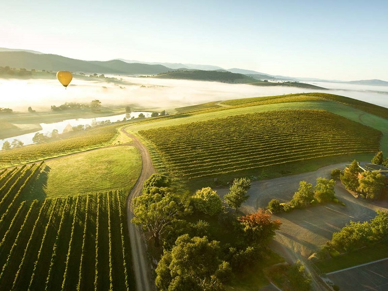 Yarra Valley – Xứ sở của rượu vang nho