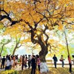 Pho di bo quanh ho Hoan Kiem wanderlusttips