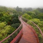 wanderlust tips thich thu loi di bo tren nhung ngon cay trong vuon quoc gia o nam phi 1
