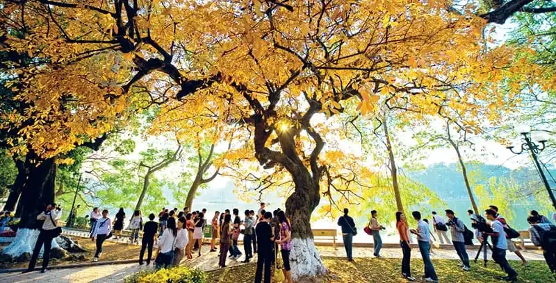 Pho-di-bo-quanh-ho-Hoan-Kiem-wanderlusttips