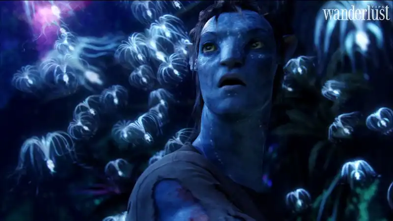 Tạp chí Du lịch Wanderlust Tips Kỳ ảo sâu phát sáng trong hang động ở New Zealand