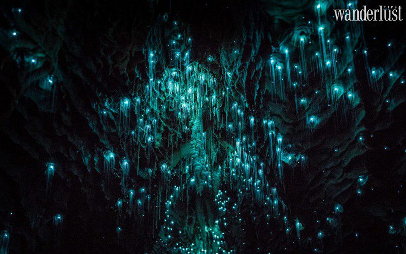 Tạp chí Du lịch Wanderlust Tips Kỳ ảo sâu phát sáng trong hang động ở New Zealand