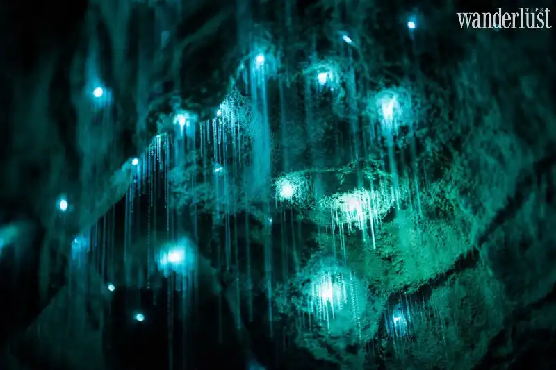 Wanderlust Tips ky ao sau phat sang trong hang dong o new zealand 07