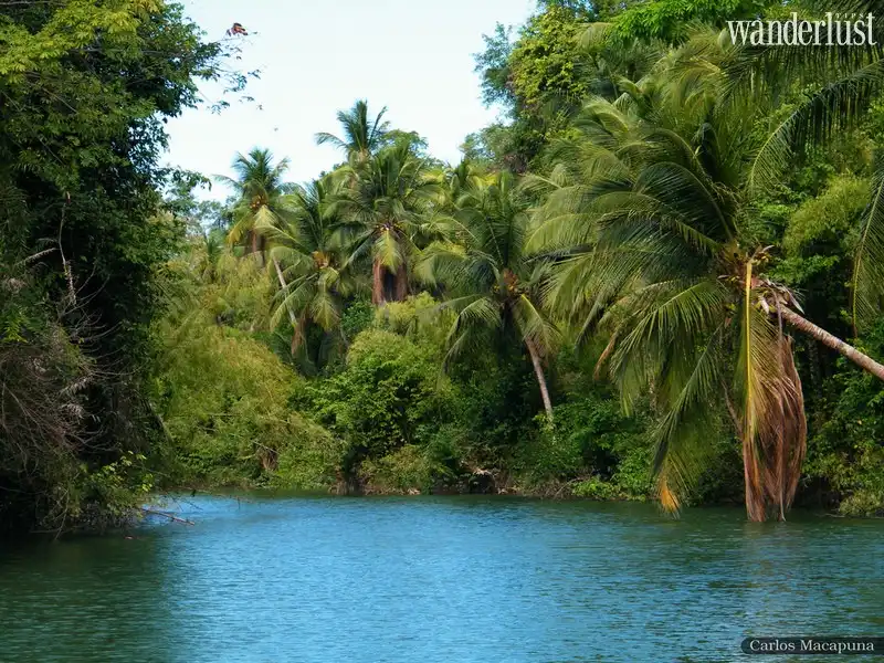 Những hòn đảo thiên đường không nên bỏ lỡ khi tới Brazil 7 Tạp chí Du lịch Wanderlust Tips Những hòn đảo thiên đường không nên bỏ lỡ khi tới Brazil