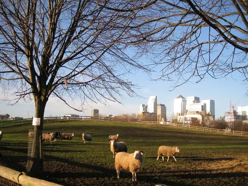 Độc và lạ những tour du lịch khám phá thế giới đa diện 6 Wanderlust_tips_tour-du-lich-doc-la-kham-pha-the-gioi-da-dien-6