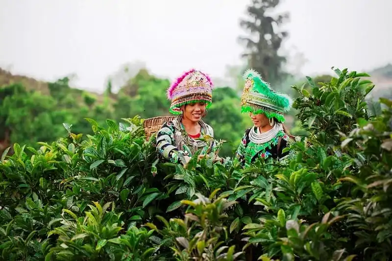 Wanderlusttips-che-suoi-giang1