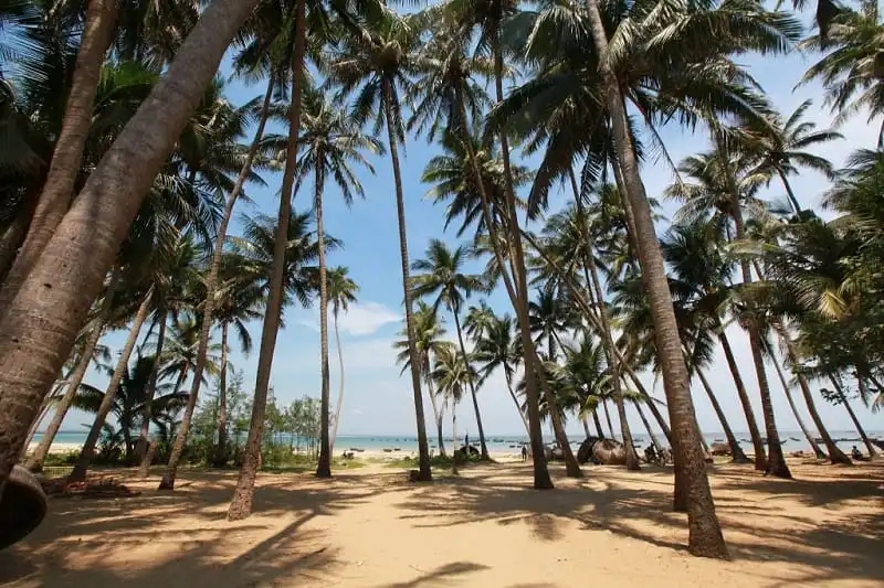 Tam Hải - Hòn đảo hoang sơ ít người biết đến ở tỉnh Quảng Nam 10 Wanderlusttips-dao-Tam-Hai1