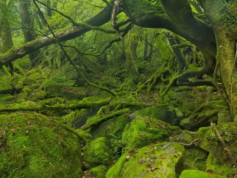 wanderlust-tips-16-diem-du-lich-tuyet-voi-nhung-it-duoc-biet-den-o-chau-a-6