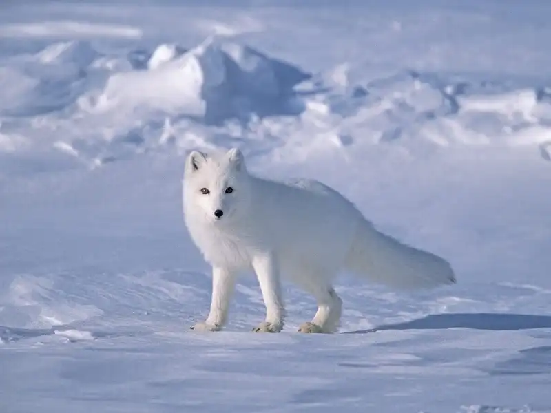 wanderlust-tips-20_diem_den_tuyet_nhat_the_gioi_7