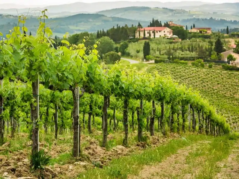 wanderlust-tips-40-trai-nghiem-nhat-dinh-phai-lam-truoc-tuoi-40-40