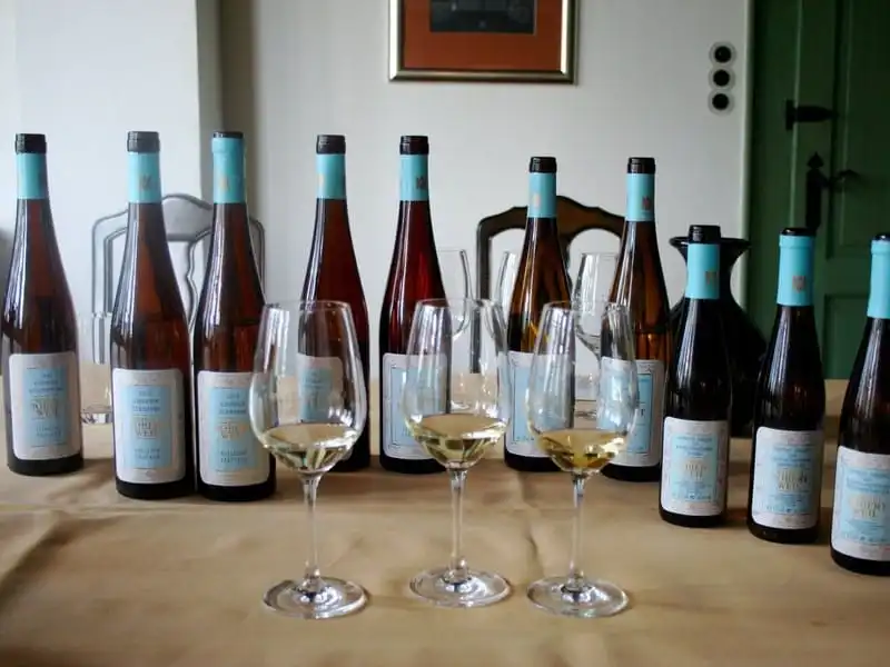 wanderlust-tips-40-trai-nghiem-nhat-dinh-phai-lam-truoc-tuoi-40-8