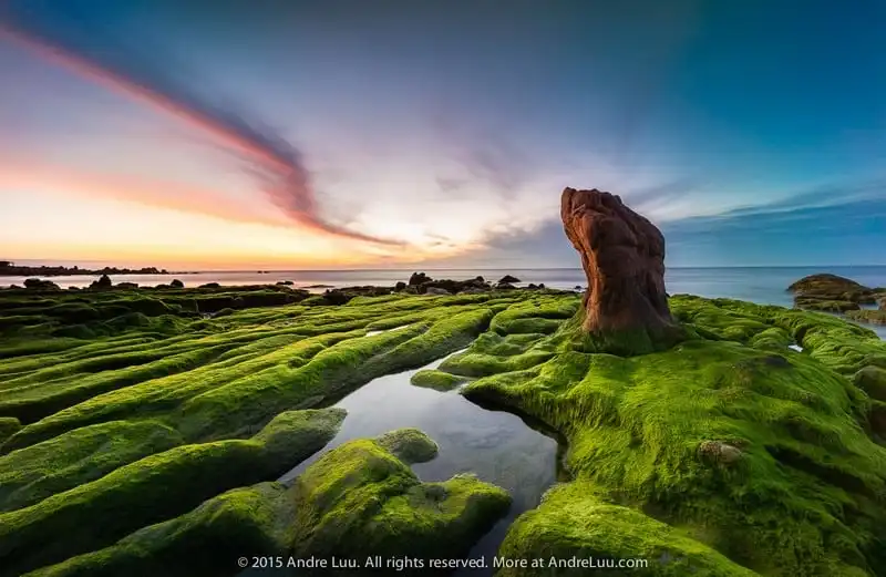 wanderlust-tips-5-diem-du-lich-viet-nam-dep-ngo-chau-au-4