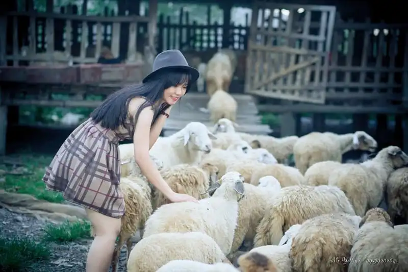 wanderlust-tips-5-diem-du-lich-viet-nam-dep-ngo-chau-au-6