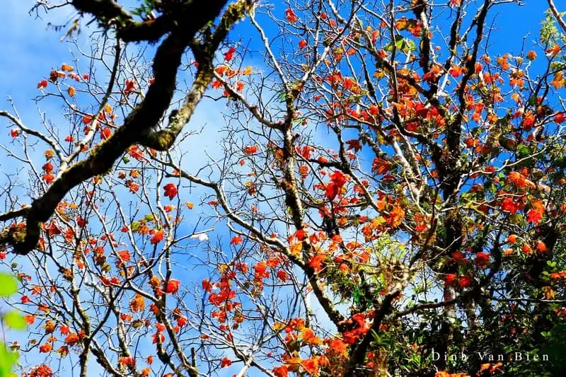 wanderlust-tips-5-diem-du-lich-viet-nam-dep-ngo-chau-au-7