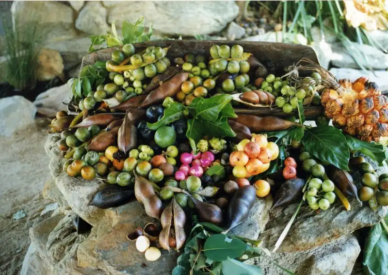 wanderlust-tips-9-mon-an-kho-choi-tu-cua-am-thuc-uc-4