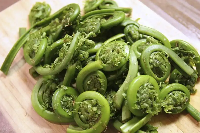 9 món ăn không thể bỏ qua khi tới thăm quốc gia hạnh phúc nhất thế giới 11 Fresh fiddlehead fern buds (t√ɬ™te de violons)
