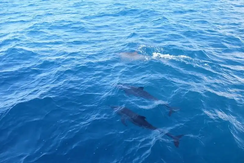 wanderlust-tips-a-hau-tu-anh-dep-lung-linh-giua-bien-xanh-nang-vang-maldives-10