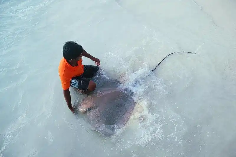 wanderlust-tips-a-hau-tu-anh-dep-lung-linh-giua-bien-xanh-nang-vang-maldives-9