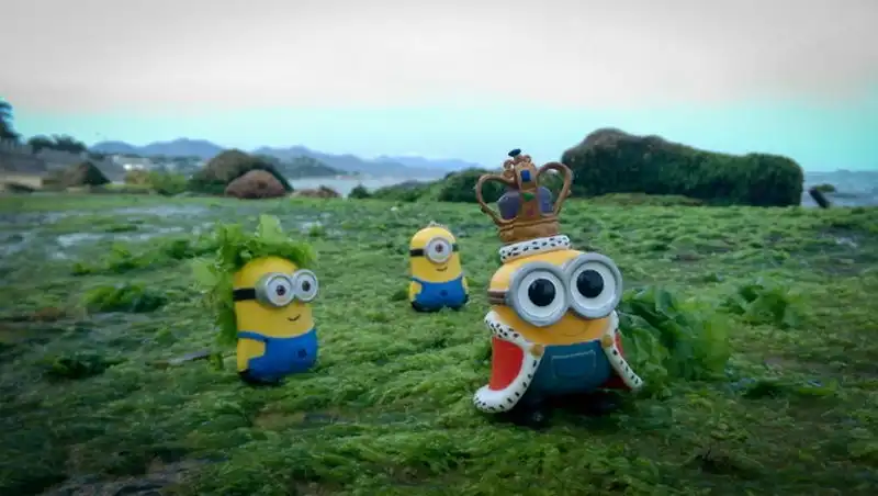 wanderlust-tips-bai-reu-xanh-muot-hut-khach-o-nha-trang--1