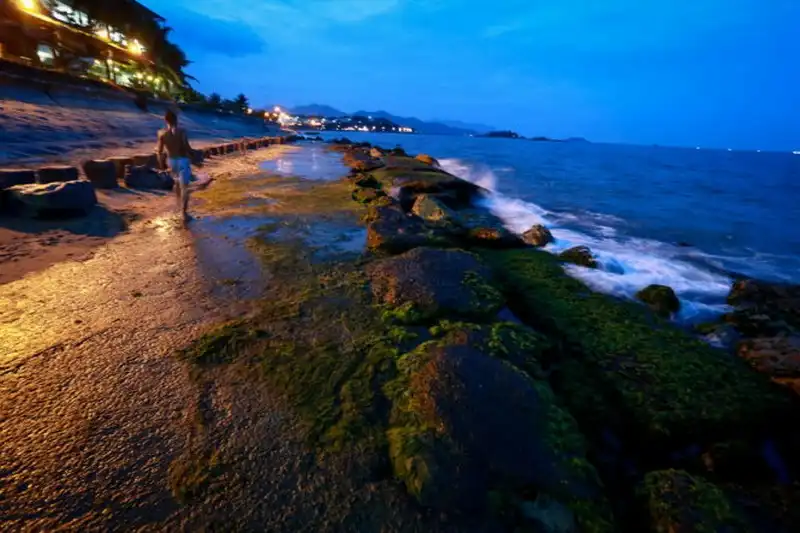 wanderlust-tips-bai-reu-xanh-muot-hut-khach-o-nha-trang--13