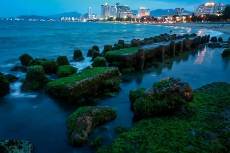 wanderlust-tips-bai-reu-xanh-muot-hut-khach-o-nha-trang--2