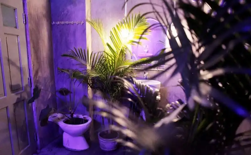 wanderlust-tips-cac-homestay-xinh-xan-va-an-tuong-ngay-tai-sai-gon-29