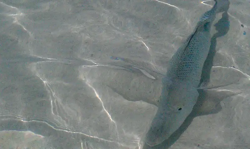 wanderlust-tips-chiem-nguong-7-bai-bien-quyen-ru-nhat-nuoc-uc-10