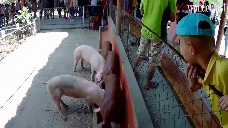 Tạp chí Du lịch Wanderlust Tips | Chơi gì ở miền Tây?