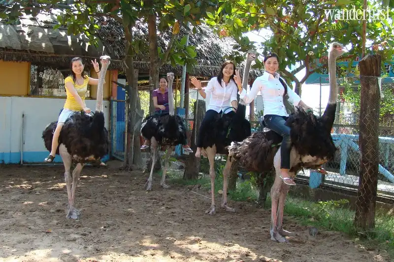 Tạp chí Du lịch Wanderlust Tips | Chơi gì ở miền Tây?