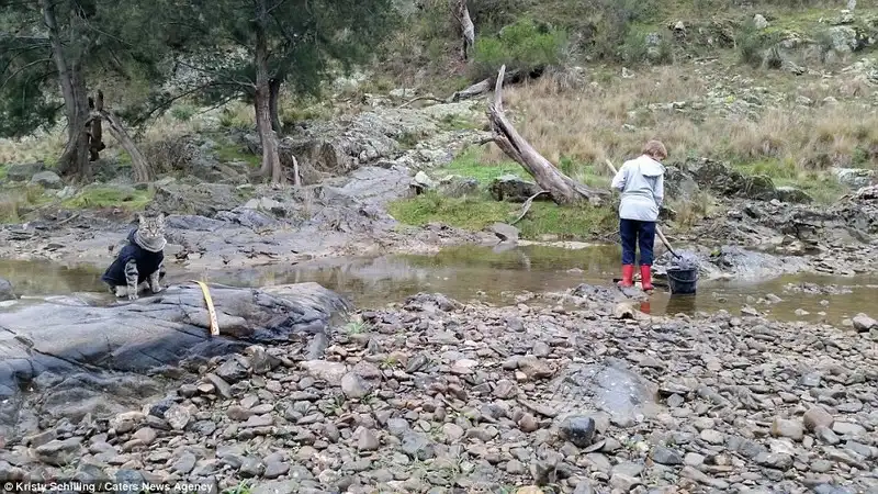 wanderlust-tips-chu-meo-cung-duoc-di-du-lich-khap-noi-cung-chu-11